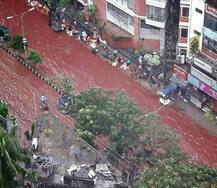 ઢાકામાં લોહીથી લાલ થઈ ગયા રસ્તા, વાયરલ થઈ રહ્યા આ PHOTOSનું શું છે સત્ય