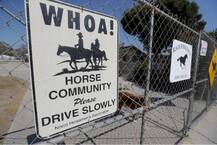 અમેરિકાના આ શહેરમાં સ્વામિનારાયણ ગુરુકુળ બનાવવાની ન મળી મંજૂરી, જાણો કેમ