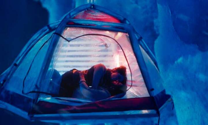 મીડિયા રિપોર્ટ્સમાં જણાવાયું છે કે આ ફિલ્મમાં અજય દેવગણ અને એરિકા કાર વચ્ચે ત્રણ મિનિટ લાંબો કિસિંગ સિન હશે. એરિકા પોલેંડની છે અને આ ફિલ્મથી બોલીવુડમાં ડેબ્યુ કરી રહી છે. આ સિનની ઝલક જલ્દી જ જોવા મળશે. 