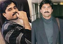 મોદીને ગાળો આપનારા મિયાંદાદ છે દાઉદ ઈબ્રાહીમનો સગો, બંને વચ્ચે છે શું સંબંધ, જાણો 