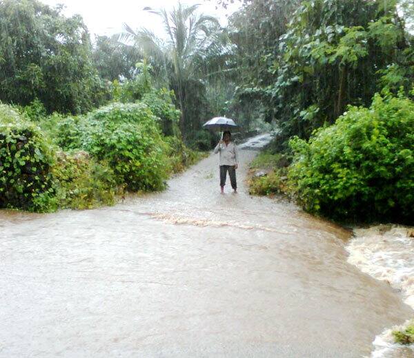 શુક્રવારે સમગ્ર સૌરાષ્ટ્ર પંથકને વરસાદે ધમરોળ્યું હતું. વેરાવળ, સાવરકુંડલા, તાલાલા, અમરેલી જિલ્લાનાં મોટાભાગનાં ગામડાં, માળિયાહાટિના, કોડીનાર અને આસપાસના વિસ્તારો, વિસાવદર, માંગરોળ, મેંદરડા, જૂનાગઢ શહેર, સૂત્રાપાડામાં બેથી ત્રણ કલાકમાં 2 ઈંચ જેટલો વરસાદ ખાબક્તાં ઠેર-ઠેર પાણી ભરાઈ ગયાં હતાં. ગરબાનાં મેદાનોમાં પાણી ભરાઈ ગયાં હતા. કેટલાક સ્થળે નવરાત્રીનાં મંડપોને પણ નુકસાન પહોંચ્યું હતું. ભાવગરના પાલીતાણા પંથકમાં પણ મેઘમહેર યથાવત રહી હતી.  અમરેલી જિલ્લાના રાજુલા-બાબરામાં દોઢ ઇંચ, ધારી-લાઠીમાં એક ઇંચ, અમરેલી-લીલીયા, વડીયા સહિતના શહેરોમાં અડધો ઇંચ વરસાદ થયો હતો. વાડી ખેતરો પાણીથી તરબતર થઇ જતા ધરતીપુત્રો ખુશખુશાલ થયા હતા.