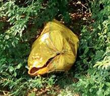 ભાભરઃ યુવકના ટૂકડે ટૂકડા કરી નાંખેલી લાશ મળી આવતાં અરેરાટી, પ્રેમ પ્રકરણમાં હત્યાની શંકા