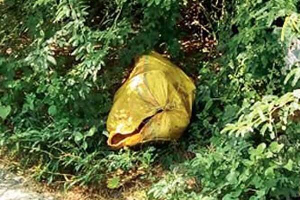 હત્યા કરીને કોઈ અહીં લાશ ફેંકી ગયું હોવાની શંકા છે. ગામના લોકોને આ શંકાસ્પદ થેલી અંગે જાણ થતાં તેમણે પોલીસને બોલાવી હતી. પોલીસના મતે અન્ય જગ્યાએ હત્યા કરીને અહીં લાશ ફેંકવામાં આવી હોઇ શકે છે. મૃતક યુવક 25 થી 30 વર્ષની ઉંમરનો છે. એફએસએલ, ડોગ સ્કવોડની પણ મદદ લેવાઈ છે.