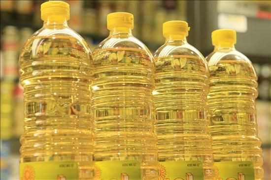Edible Oil And Rajkot News: Groundnut Oil price decreases with 40 rs in every box in rajkot Edible Oil: દિવાળી બાદ સિંગતેલના ભાવમાં કડાકો, રાજકોટમાં પ્રતિ ડબ્બે 40 રૂપિયા ઘટ્યા, જાણો નવી કિંમત