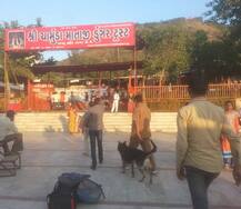 CM રૂપાણીના ઘર અને ચોટીલાના ડુંગરમાં બોમ્બ રાખવામાં આવ્યા હોવાની મળી ધમકી, ISISના નામે પત્ર મળતા પોલીસમાં દોડધામ