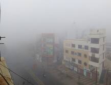 રાજકોટ સહિત સૌરાષ્ટ્ર ઠંડીના કારણે ધુમ્મસની ચાદરમાં લપટાયું, વાહન વ્યવહારને અસર