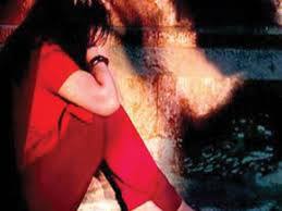 નરેશ સોલંકીના પરિવારના સાત અન્ય લોકો સામે અપહરણ અને ગેરકાયદે બંદી બનાવવા સંબંધી ગુનો નોંધવામાં આવ્યો છે. ઘટનાની મળતી માહિતી પ્રમાણે, 11 નવેમ્બરે છોકરીનું અપહરણ કરવામાં આવ્યું હતું અને તેને ગામથી આશરે બે કિલોમીટર દુર આવેલ એક ખેતરમાં લઇ જવામાં આવી હતી.