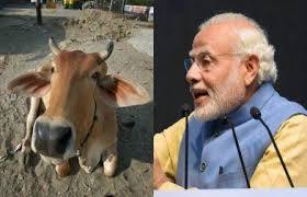 ટેગની મદદથી પશુઓ પર નજર રાખવામાં સરળતા રહેશે. જેનાથી તેમની દવાઓ, ટીકાકરણ સમયાંતરે કરવામાં આવશે. માનવામાં આવી રહ્યું છે કે તેનાથી 2022 સુધી દરરોજ ખેડૂતોની આવક બે ગણી થઈ જશે. પ્રત્યેક ટેગ સરકારને આઠ રૂપિયામાં પડશે.