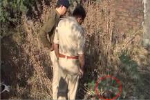 સુરતઃ કિશોરનું ધડ વગરનું માથું મળતાં ખળભળાટ, બલી ચઢાવી હોવાની ચર્ચા