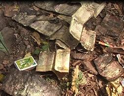 વડોદરા: 500 અને 1000ની જૂની નોટો સળગાવેલી હાલતમાં મળી આવી