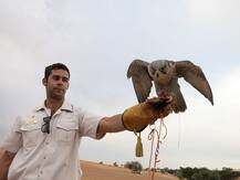 સાઉદી અરબના પ્રિન્સે 80 બાઝ માટે પ્લેનમાં બુક કરાવી સીટ, વાયરલ થઈ તસવીર