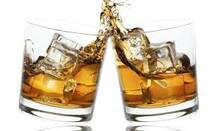 સુરતમાં દારૂની મહેફિલ માણતા 9 નબીરાઓની પોલીસે કરી અટકાયત, જાણો કોણ-કોણ થયા જેલ ભેગા