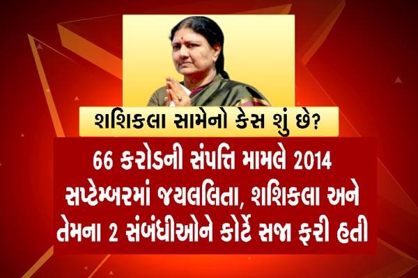 આ કંપનીઓ દ્વારા નીલગિરીમાં 1000 એકર અને તિરુનેલવેલીમાં 1000 એકર જમીન ખરીદવામાં આવી હતી. જયલલિતાની પાસે 30 કિલોગ્રામ સોનું, 12 હજાર સાડી હતી. તેમણે દત્તક લીધેલ પુત્ર વી.એન. સુધાકરણના લગ્ન પર 6.45 કરોડ રૂપિયા ખર્ચ કરવામાં આવ્યા હતા. પોતાના ઘર પર વધારાના બાંધકામ પાછળ 28 કરોડનો ખર્ચ કર્યો હતો.