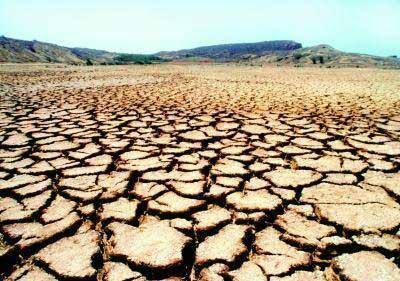 આર્થિક સંકળામણ અને પાક નિષ્ફળ જતાં આપઘાત કરી લેનાર હરેશભાઈ ડેડાણીયાને બે સંતાન છે. જેમાં એક દીકરો અને એક દીકરી છે. દીકરી ઉપલેટા ખાતે હોસ્ટેલમાં રહીને અભ્યાસ કરી રહી છે. જ્યારે દીકરો અભ્યાસ પૂર્ણ કર્યા બાદ બેરોજગાર છે.