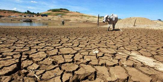 સરકારે આ વખતે સરકારે બજેટમાં ખેડૂતો માટેની સબસિડી વધારી દીધી છે. જેનો લાભ રાજ્યના 14 લાખ ખેડૂતોને મળશે. તેમને માત્ર 1 ટકાના વ્યાજથી પાક લોન પર વ્યાજ સહાય મળશે. બજેટમાં રૂ. 500 કરોડની જોગવાઈ કરવામાં આવી છે જે અંતર્ગત ખેડૂતોને 1 ટકાના વ્યાજ દરે સહાય મળશે . જ્યારે પાકને નુકસાન થતું અટકાવવા માટે ખેતરો ફરતે તારની વાડ બાંધવા માટે ખેડૂતોને રૂ. 200 કરોડની જોગવાઈ કરવામાં આવી છે.