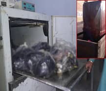 એરફોર્સ કર્મચારીને સાર્જન્ટની પત્ની સાથે બંધાયા સેક્સ સંબંધ, પ્રેમિકાએ જ પતિ સાથે કરી નાંખ્યા 16 ટુકડા, કેમ ?