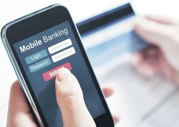 તમારે જ્યારે પેમેન્ટ કરવાનું હશે તો દુકાનદારના મોબાઈલ ફોન પર તમારો આધાર નંબર અને સામાનની કિંમત પંચ કરવાની રહેશે. ત્યાર બાદ સેન્સર પર તમારો અંગૂઠો મુકવાનો રહેશે, તેની મદદથી જ તમારી ઓળખ સાબિત થશે અને ઓળક સાબિત થયે તરત જ પેમેન્ટ થઈ જશે. પેમેન્ટ થઈ ગયા બાદ તમારા મોબાઇલ નંબર પર સૂચના આવી જશે કે નક્કી રકમ તમારા ખાતામાંથી કપાઈ ગઈ છે.