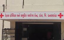 બનાસકાંઠા: દાંતાના જંગલની ઘટના, નરભક્ષી માદા રીંછે 3ને ફાડી ખાધા