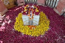 સોમનાથ મંદિરે તા.27થી ‘પ્રભાસોત્સવ’ અને ‘ગોલોકધામ’ ઉત્સવની ભવ્ય ઉજવણી સાથે સાંસ્કૃતિક કાર્યક્રમોની વણઝાર