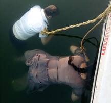 અમદાવાદઃ \'નદીમાં પડવા જઈએ છીએ\' કહી દરવાજાને મારી દીધી સ્ટોપર, સાબરમતીમાંથી મળી દંપતીની લાશ