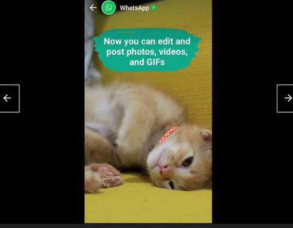 સ્ટેટસમાં હવે યૂઝર વીડિયો, ફોટો અને GIF પણ નાંખી શકે છે. આ માટે તમે તમારા ફોનમાં સેવ કરેલી કન્ટેન્ટ પર પણ જઇ શકો છો. આ એકદમ આસાન છે. આ સ્ટેટસ 24 કલાકમાં ગાયબ થઇ જશે, તમે ઇચ્છો તો જાતે પણ ડિલીટ કરી શકો છો.