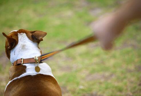 જયારે તેની પત્ની પાછી આવી ત્યારે આ ભાઇ ભોંય પર પડેલા હતા અને ઘણું લોહી વહી ગયું હતું. સ્થાનિક ડોકટરોએ હાથ ઊંચા કરી દેતાં તેને વડોદરાના વારસિયા પાસેની એક પ્રાઇવેટ હોસ્પિટલમાં ભરતી કરવામાં આવ્યો. હાલમાં તે ઇન્ટેન્સિવ કેર યુનિટમાં છે.