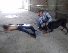 વડોદરાઃ યુવતીને છ વર્ષ નાના સગીર સાથે બંધાયા સંબંધ, લગ્ન પછી પણ ચાલુ રહ્યા સંબંધ, પતિને થઈ જાણ, પછી શું થયું ?