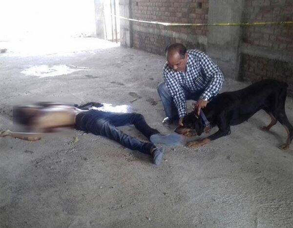 મૃતકની પ્રેમિકા નિમીષાએ એવો દાવો કર્યો છે કે, 'મારો પતિ મને ડિવોર્સ આપવા માટે તૈયાર હતો અને હું મારા પ્રેમીને પરણવાની હતી પણ મારા પતિએ મારા પ્રેમીને કપટથી બોલાવીને મારી નજર સામે જ હત્યા કરી નાંખી અને ફરાર થઇ ગયો છે.' જો કે ઝપાઝપી દરમિયાન નિમીષાએ પ્રેમીને કેમ ના બચાવ્યો એ સવાલ ઉભો છે.