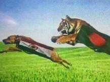 સેમી ફાઈનલ પહેલાં બાંગ્લાદેશીએ મૂકી તિરંગાનું અપમાન કરતી તસવીર, પોતાની ટીમને બતાવી ટાઈગર