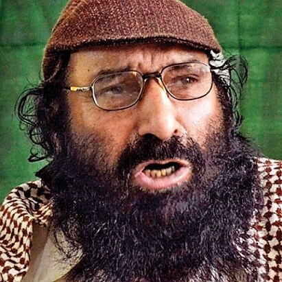 Jammu Kashmir 11 government employees sacked include sons of Hizbul Mujahideen chief Syed Salahuddin over alleged terror links Jammu Kashmir : दहशतवाद्यांशी संबध असणाऱ्या 11 सरकारी कर्मचाऱ्यांची गच्छंती; हिजबूल मुजाहिद्दीन प्रमुखाच्या दोन मुलांचा समावेश