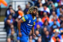 મલિંગા પર લાગ્યો છ મહિનાનો પ્રતિબંધ, રમતગમત મંત્રીની વાંદરા સાથે કરી હતી તુલના