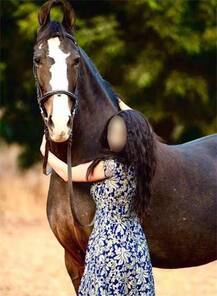 સુરતઃ મોડલ જ્યોતિ ફાર્મહાઉસમાં  પ્રેમી હિતેશ સાથે જ હતી ને પતિનો ફોન આવી ગયો, પછી શું થયું ?  જાણો વિગત