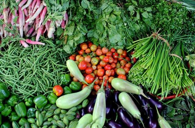 Bankura Heavy rains affected crops like vegetables, farmers face loss, prices soars in market Bankura Rain: নিম্নচাপের বৃষ্টিতে ব্যাপক ক্ষতি সব্জি চাষে, মাথায় হাত কৃষকদের, পকেটে টান ক্রেতাদেরও