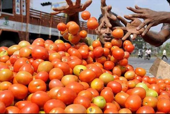 ટમેટાના ભાવ ઉછળી રહ્યા છે. 5થી 10 રૂપિયે કિલો વેચાતા ટમેટા હવે જથ્થાબંધ બજારમાં 65 રૂપિયા અને સામાન્ય લોકોની થાળી સુધી પહોંચતા 100 રૂપિયા કિલોએ પહોંચી જાય છે. હવે જ્યારે ટમેટાના ભાવ એટલા બધા વધી ગયા છે કે હવે તેના માટે સુરક્ષા રાખવી પડી રહી છે.