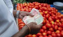 Tomato Price: अच्छी खबर ! दो हफ्तों में टमाटर के दामों में आएगी कमी, फूड सेक्रेटरी ने जताई उम्मीद-ये है वजह