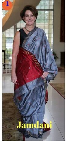 15 ઓગસ્ટ અમેરિકી રાજદૂત પહેરવા માગે છે સાડી, લોકો પાસે માગી મદદ