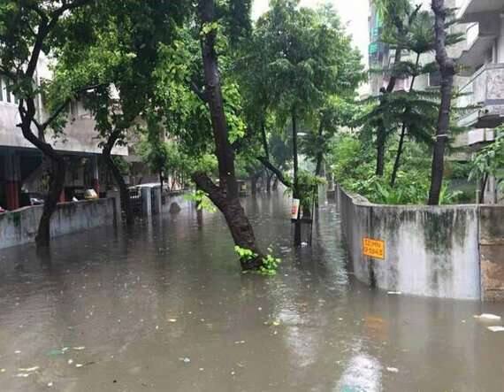 હાલમાં પશ્ચિમ બંગાળની ખાડીમાં વરસાદી સિસ્ટમ સક્રિય બની હોવાની વિગતો સામે આવી છે. આ સિસ્ટમ ગુજરાત તરફ આગળ વધી રહી હોવાથી આગામી ૨૭, ૨૮ અને ૨૯ ઓગસ્ટ આ ત્રણ દિવસ દરમિયાન રાજ્યમાં અતિભારે વરસાદ પડવાની હવામાન વિભાગે આગાહી જારી કરી છે.