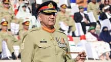 ભારતે રાજનિતિક રીતે કાશ્મિર મુદ્દે સમાધાન કરવું જોઈએ: પાક સેના પ્રમુખ