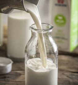 ખેતલા આપા ટી સ્ટોલમાં વપરાતું દૂધ લેબ ટેસ્ટમાં થયું ફેઈલ, ચા પીવાલાયક નથી