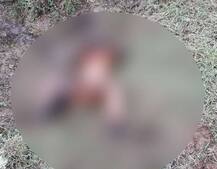 નડિયાદઃ NRI બાળકીની ક્રૂરતાપૂર્વક હત્યાઃ બંને હાથ કાપી નાંખ્યા, કોણ નીકળ્યા હત્યારા?