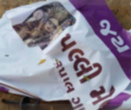 પેથાપુર પોલીસ સ્ટેશનના પીઆઇએ ફોન ઉપાડવાની તસ્દી દીધી હતી. પરંતુ પોલીસ દ્વારા પોસ્ટર ફાડવાની બાબતને લઇને એસપીએ કહ્યું હતું કે, પોલીસનું કામ સુરક્ષા કરવાનું છે. માતાજીના મંદિરમાં સોનાના દાગીના પડ્યા છે. ત્યારે પોલીસ પેટ્રોલીંગ કરે છે. પરંતુ પોલીસે પોસ્ટર ફાડ્યા તે વાત તદ્દન ખોટી છે. ગામમાં બે ભાગ પડી ગયા છે ત્યારે ઉશ્કેરવા માટે કામ કરવામાં આવ્યું હોય તેવું લાગે છે.