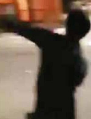 જ્યારે કેટલાક તો લાકડીઓ અને ડંડાઓ લઈને ફરતા હતા. પોલીસ મૂક પ્રેક્ષક બની તોફાનીઓનો આ તમાશો જોઇ રહી હતી. 