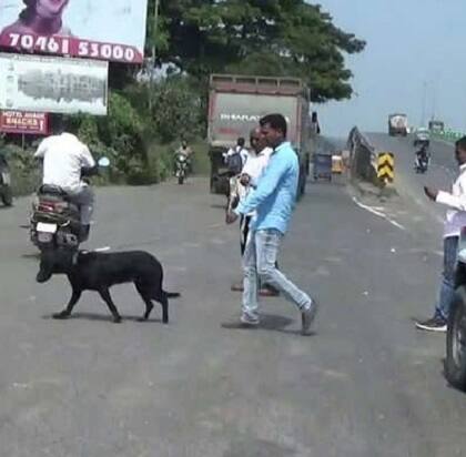 આરટીઓ કચેરીમાં શુક્રવાર સાંજથી મંગળવાર સવાર સુધીના ટેક્સ તથા ઓવેરલોડ દંડના પૈસા જમા હતા. 1.14 કરોડ ની માતબર રકમ હોવા છતાં આરટીઓ કચેરી દ્વારા બેન્કમાં પૈસા જમા કરાવવા જવા સિક્યુરિટી ગાર્ડ કે અન્ય સુરક્ષા લીધી ન હતી. લૂંટારૂઓ આરટીઓ કચેરી પરથી સુમોનો પીછો કરવા પહેલા લૂંટને અંજામ આપવા અન્યો લૂંટારુંઓને પણ પહેલેથી જ તૈનાત કરેલા હોવાનું આ ફૂલ પ્રુફ ઘટના પરથી જણાઇ છે.