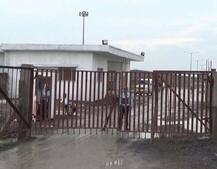 અમરેલી: યુવતીનું મશીનમાં માથું ચગદાયું, લોહીના ફુવારા ઉડતાં યુવતીઓએ કરી બૂમાબૂમ