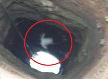 અમરેલી: સાયન્સના વિદ્યાર્થીએ કરી આત્મહત્યા, સુસાઈટ નોટમાં શું લખ્યું?