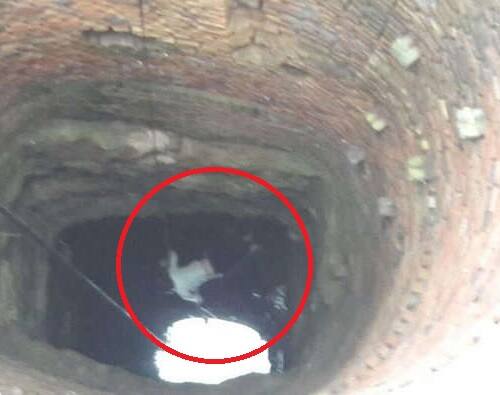 સુનિલ ગૂમ નહતો થયો પરંતુ ગુરુકુલ પાસે આવેલ એક કુવામાં આત્મહત્યા કરી લીધી હતી જેનો મૃતદેહ મળી આવ્યો હતો. કુવાના આસપાસના લોકો જોતાં પોલીસને જાણ કરી હતી. ત્યાર બાદ પોલીસ ઘટનાસ્થળે આવીને મૃતદેહને બહાર કાઢવામાં આવ્યો હતો.