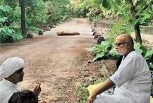 ગિરનારમાં મોરારી બાપુ અને સિંહ એકસાથે જોવા મળ્યા, ઘડીભર થંભાવી દે તેવું દ્રશ્ય