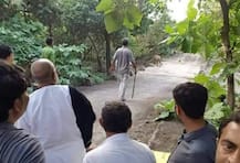 ગિરનારમાં મોરારી બાપુ અને સિંહ એકસાથે જોવા મળ્યા, ક્યા વકીલે ગુજરાત હાઈકોર્ટમાં કરી અરજી?