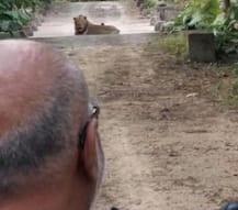 ......બાકી બાવાને જંગલમાં શું કામ હોય? જૂનાગઢમાં સિંહદર્શન મુદ્દે મોરારીબાપુએ કર્યો શું રસપ્રદ ખુલાસો?