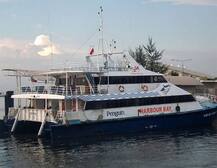 રવિવારે PM મોદી ફરી ગુજરાતના આંગણે, ડ્રીમ પ્રોજેક્ટ ઘોઘા-દહેજ સર્વિસનું કરાશે લોકાર્પણ